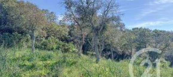 Земельный участок 827м² в Порто-Веккьо, Франция № 77458 2