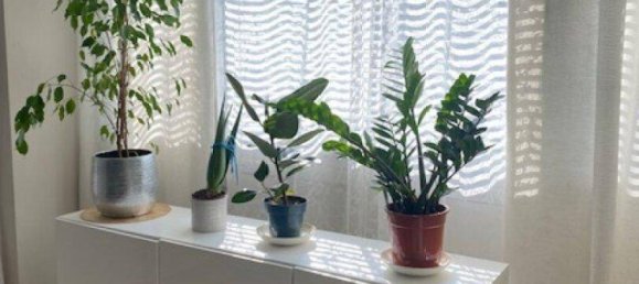 3 rooms Apartment in Salzburg, Austria No. 246050 5