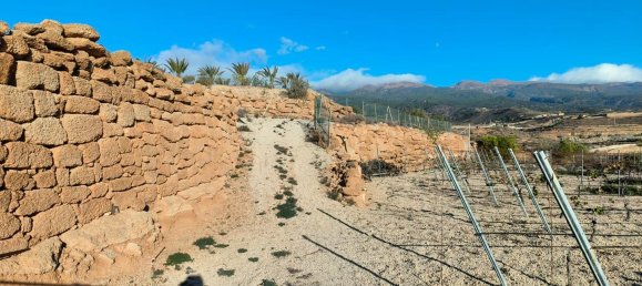  Land in Granadilla de Abona, Spain No. 156816 14