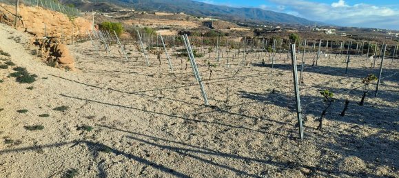  Land in Granadilla de Abona, Spain No. 156816 15