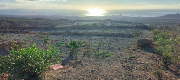  Land in Granadilla de Abona, Spain No. 156816 20