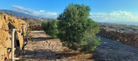  Land in Granadilla de Abona, Spain No. 156816 19