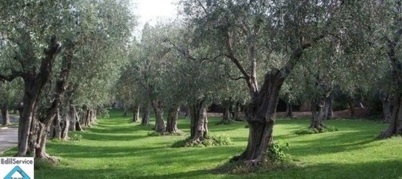 Terreno en Syracuse, Italy 60000 m² No. 246144 3