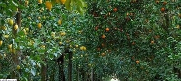 Terreno en Syracuse, Italy 60000 m² No. 246144 5