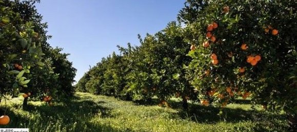 Terreno en Syracuse, Italy 60000 m² No. 246144 4