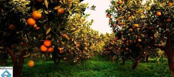 Terreno en Syracuse, Italy 60000 m² No. 246144 2