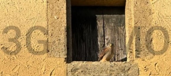 Дом с 4 спальнями в Сен-Виктор-ла-Кост, Франция № 200840 21