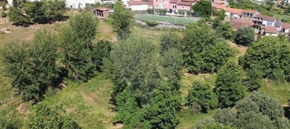 Villa de 3 dormitorios en Cabeceiras de Basto, Portugal No. 190081 19