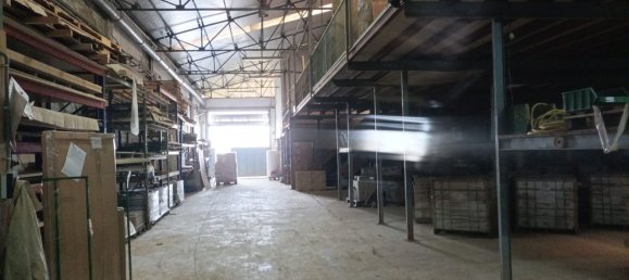 Entrepôt à Albal, Spain 1550m² No. 164143 13