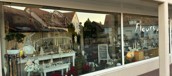 Gewerbliche Immobilie in Bartenheim, France 53m², Nr. 86013 2