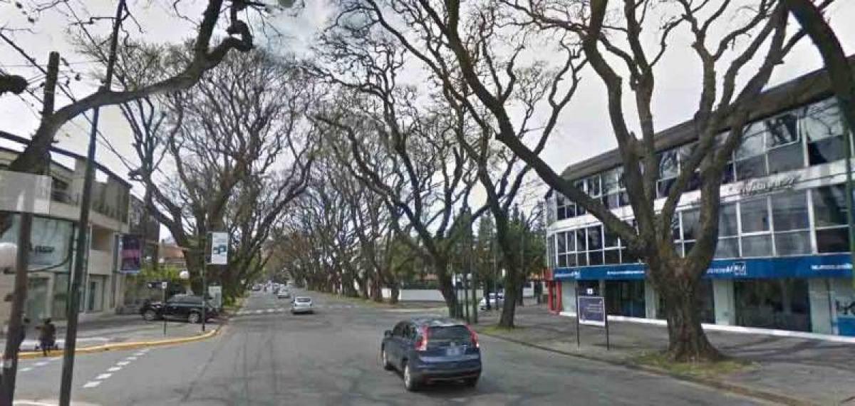 270m² Commercial property in San Isidro, Argentina No. 24708