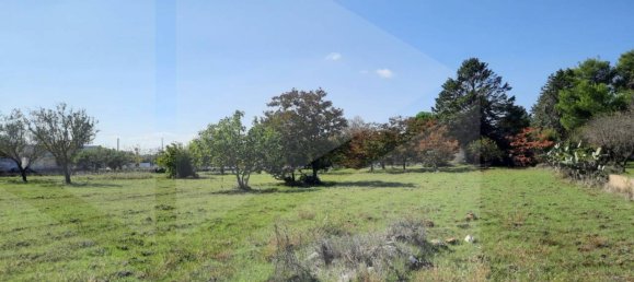 3 rooms Villa in San Vito dei Normanni, Italy No. 26433 4