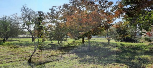 3 rooms Villa in San Vito dei Normanni, Italy No. 26433 20