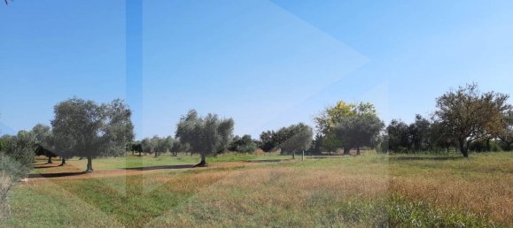 3 rooms Villa in San Vito dei Normanni, Italy No. 26433 3