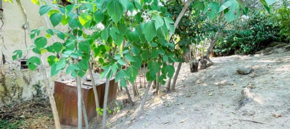 8-Zimmer Haus in Cesena, Italy, Nr. 159248 12