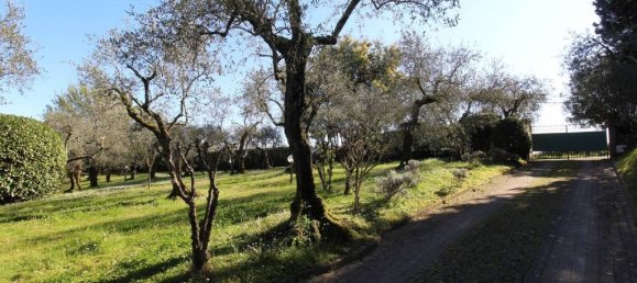 Villa T6 em Buggiano, Italy N.º 45948 38