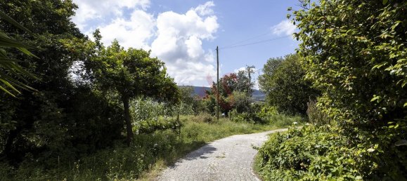 7 bedrooms House in Vila Nova de Famalicao, Portugal No. 175153 48