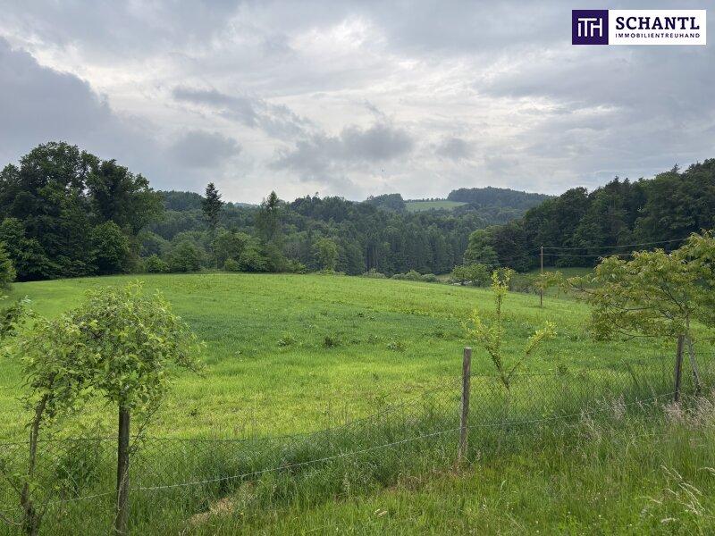 Дом с 4 комнатами в Эггерсдорф бай Грац, Австрия № 226334