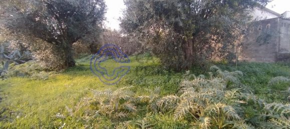 3 غرف نوم منزل في Torres Novas, Portugal رقم 14530 7