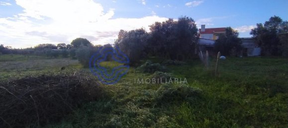 3 غرف نوم منزل في Torres Novas, Portugal رقم 14530 5