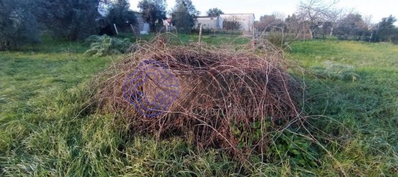 3 غرف نوم منزل في Torres Novas, Portugal رقم 14530 10