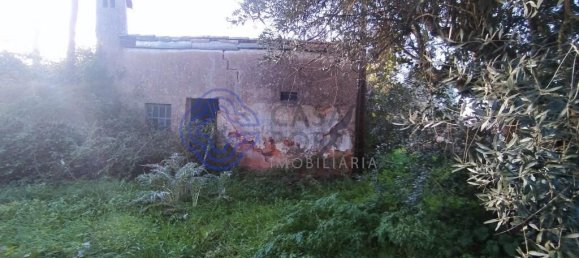 3 غرف نوم منزل في Torres Novas, Portugal رقم 14530 2