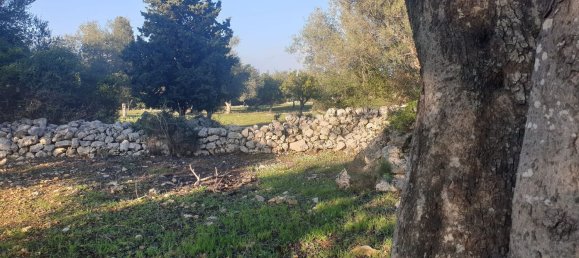 Grundstück in Noto, Italy, Nr. 330984 37