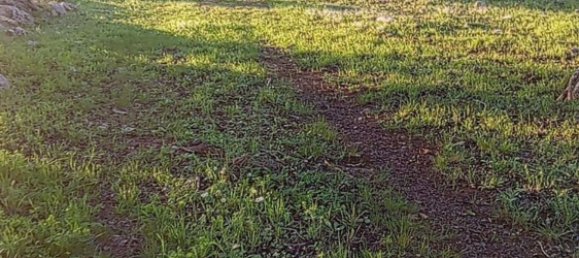 Grundstück in Noto, Italy, Nr. 330984 16