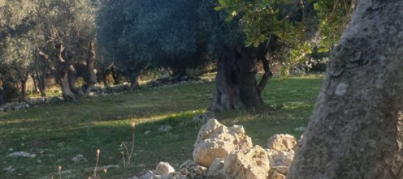 Grundstück in Noto, Italy, Nr. 330984 42