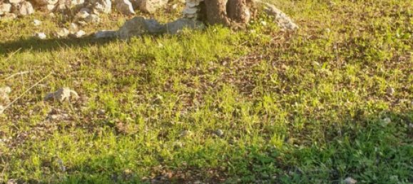 Grundstück in Noto, Italy, Nr. 330984 22