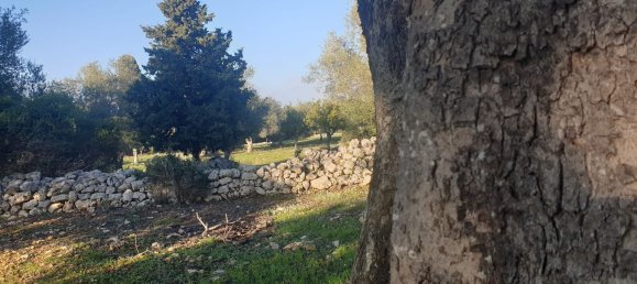 Grundstück in Noto, Italy, Nr. 330984 46