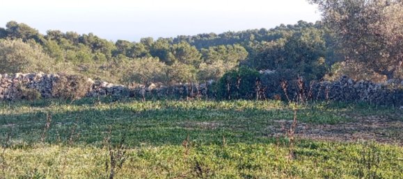 Grundstück in Noto, Italy, Nr. 330984 10