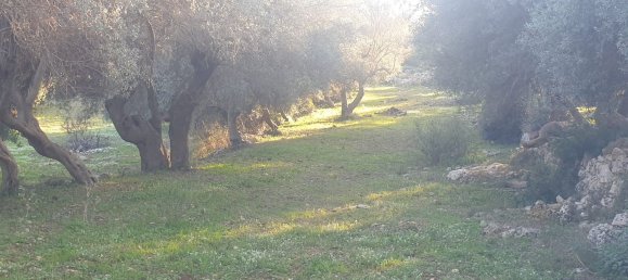 Grundstück in Noto, Italy, Nr. 330984 31