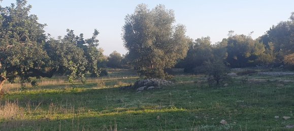 Grundstück in Noto, Italy, Nr. 330984 49