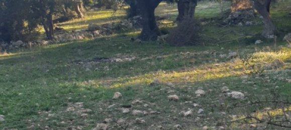 Grundstück in Noto, Italy, Nr. 330984 48