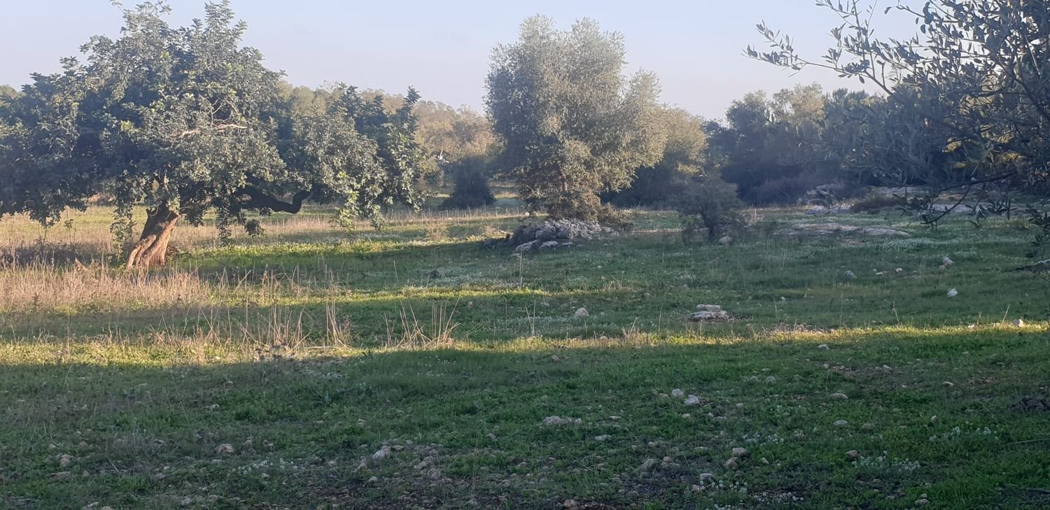 Grundstück in Noto, Italy, Nr. 330984