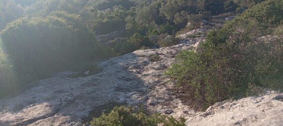 Grundstück in Noto, Italy, Nr. 330984 12