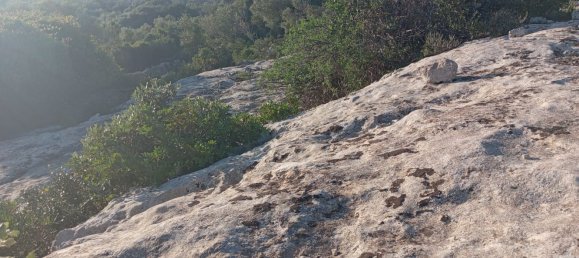 Grundstück in Noto, Italy, Nr. 330984 8