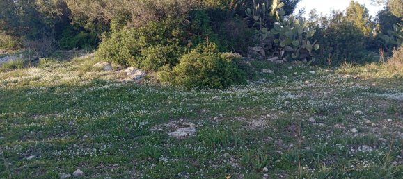 Grundstück in Noto, Italy, Nr. 330984 7