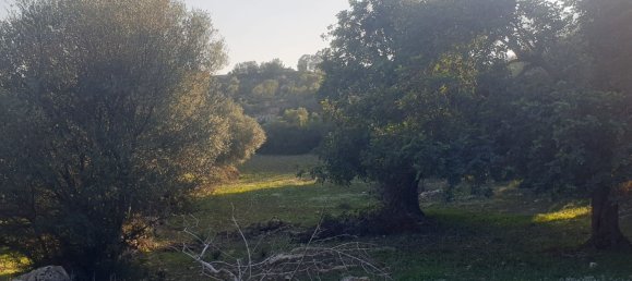 Grundstück in Noto, Italy, Nr. 330984 32