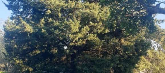 Grundstück in Noto, Italy, Nr. 330984 47