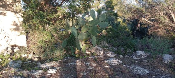 Grundstück in Noto, Italy, Nr. 330984 5