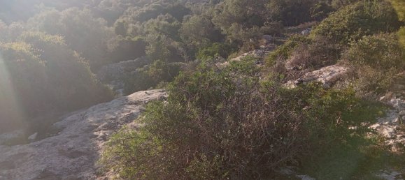 Grundstück in Noto, Italy, Nr. 330984 19