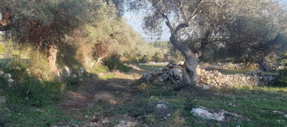 Grundstück in Noto, Italy, Nr. 330984 44