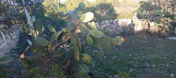 Grundstück in Noto, Italy, Nr. 330984 15