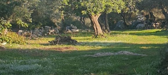 Grundstück in Noto, Italy, Nr. 330984 40