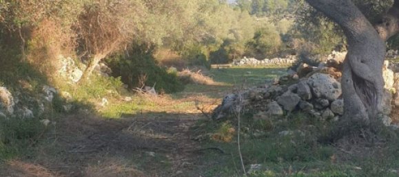 Grundstück in Noto, Italy, Nr. 330984 45