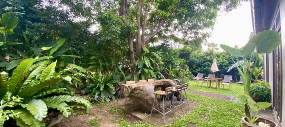 4 bedrooms Cafe / restaurant in Ko Samui, Thailand No. 24905 12