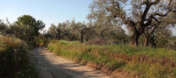  قطعة أرض في Montelibretti, Italy رقم 162925 2