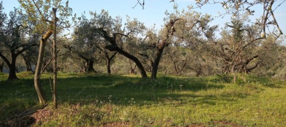  قطعة أرض في Montelibretti, Italy رقم 162925 3